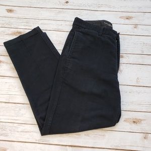 BANANA REPUBLIC Navy Flannel Pants Sz 34R